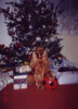 04.jpg, 7 kB